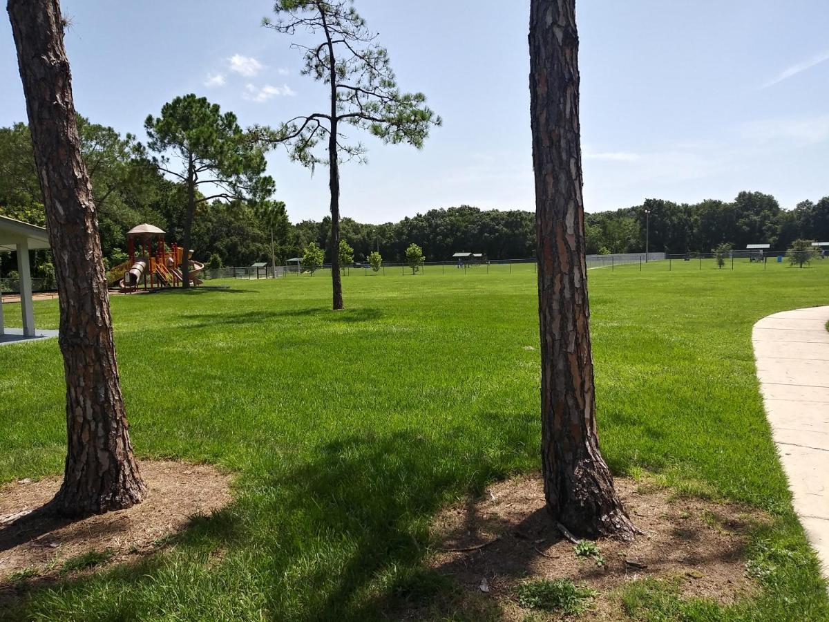 Апартаменты Tampa Citrus Park Экстерьер фото